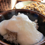 十割そば処 山獲 - とろろご飯