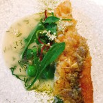 AMOUR - 松笠仕立てです