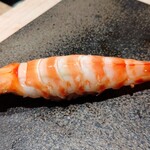 寿し おおはた - 車海老  赤