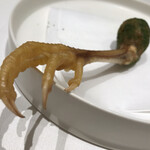 タカヤマ - ひね鶏のつくね✨∑(ﾟДﾟ)恐怖な感じ。
      …だが、めちゃくちゃおいしい。ワインが進む