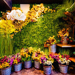 ニッカブロックカフェ