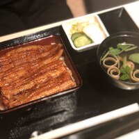 うなぎ 目白ぞろ芽 - 