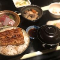 うなぎ 目白ぞろ芽 - 