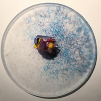 レストランエール - 