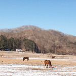 いずみ食堂 - 日高方面に行ったら馬を見ずには帰れません　天気が良いのでお馬さんも気持ちよさそう(*^^*)