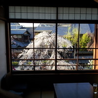 伊藤ダイニング 京都 - 