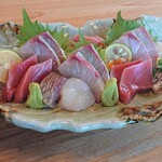 Washoku Shirotsubaki - 日替わり鮮魚盛り