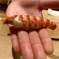 紀尾井町 三谷 - 車海老～目の前で丁寧に背ワタを抜き取り、捌かれた車海老は厚みがあり、車海老の美味さが滲み出てくる。