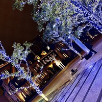 紀尾井町 三谷 - 東京ガーデンテラス紀尾井町の広場。イルミネーションが綺麗。