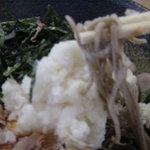 伯蕎庵 しばた - おろしそばの麺は、細め