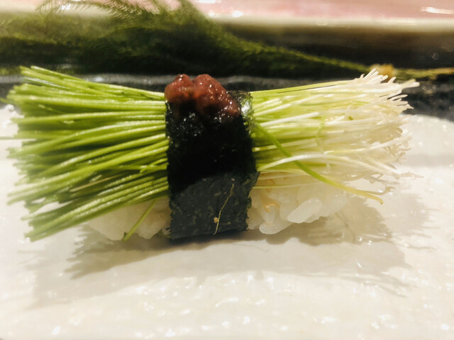 すしダイニング 参宮橋 清水 Sushi Dining Sangubashi Shimizu 参宮橋 寿司 食べログ すしダイニング 参宮橋 清水 Sushi Dining Sangubashi Shimizu 参宮橋 寿司 食べログ