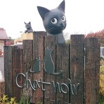 Chat noir - 