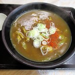 うどん屋 はやし亭 - カレーうどん葱on