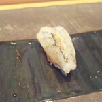 寿司　まつばら - 天使のエビ  生で