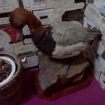 カナル 新宿 - 階段踊り場のカモちゃん