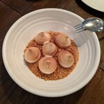 THE APOLLO - レモンパイアポロスタイル