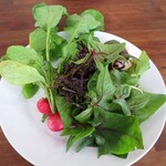 たんぽぽ - サラダ（バー）