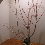 強羅　早雲閣 - 