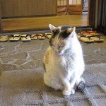 強羅　早雲閣 - お見送り