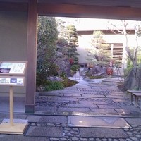 平等院表参道 竹林 - 