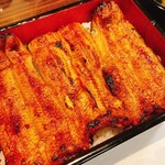 うなぎ 魚政 - うな重