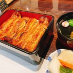 うなぎ 魚政 - うな重