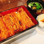 うなぎ 魚政 - うな重