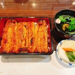 うなぎ 魚政 - うな重