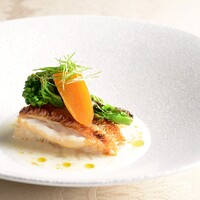三河湾 釣り甘鯛 百合根のソース 自家製からすみ添え