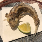 すし和食 一膳 - 