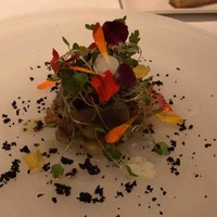 ARMONICO - 