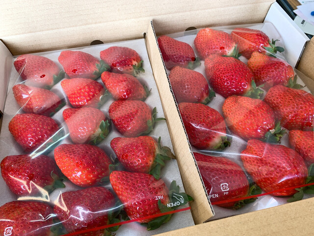 横田農園 - 川東（その他）の写真