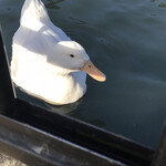 ラーメンハウス蘭蘭 - 