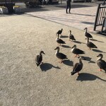 ラーメンハウス蘭蘭 - 