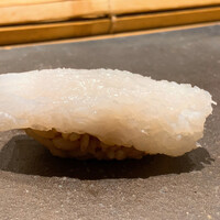 鮨 しゅんぺい - ハリイカ