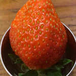 ビートイート - 