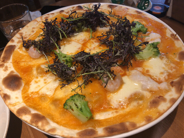 ドルサルディーナのリーフレット