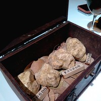 マルゴット エ バッチャーレ - 