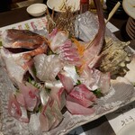 月のダイニング うさぎ - 地魚お刺身４点盛り