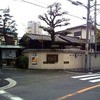 市川 おいどん