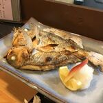 和ダイニング 五法 - 