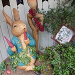 Peter Rabbit Garden Cafe - 