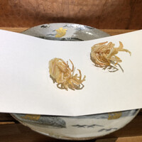 点邑 - 