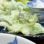 桶家乃隠居 - ふきのとう