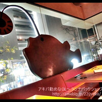 KINKA sushi bar izakaya 渋谷 - 