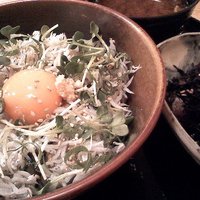 小割烹おはし 恵比寿 - 釜揚げしらす丼。しらすの量は見た目以上です。