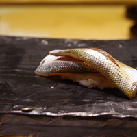 江戸前 鮨 服部 - 小鰭