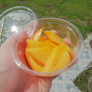 宮崎観光写真社_0