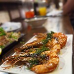 ロジウラサカバ アオコーナー - 