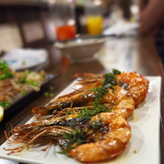 ロジウラサカバ アオコーナー_1